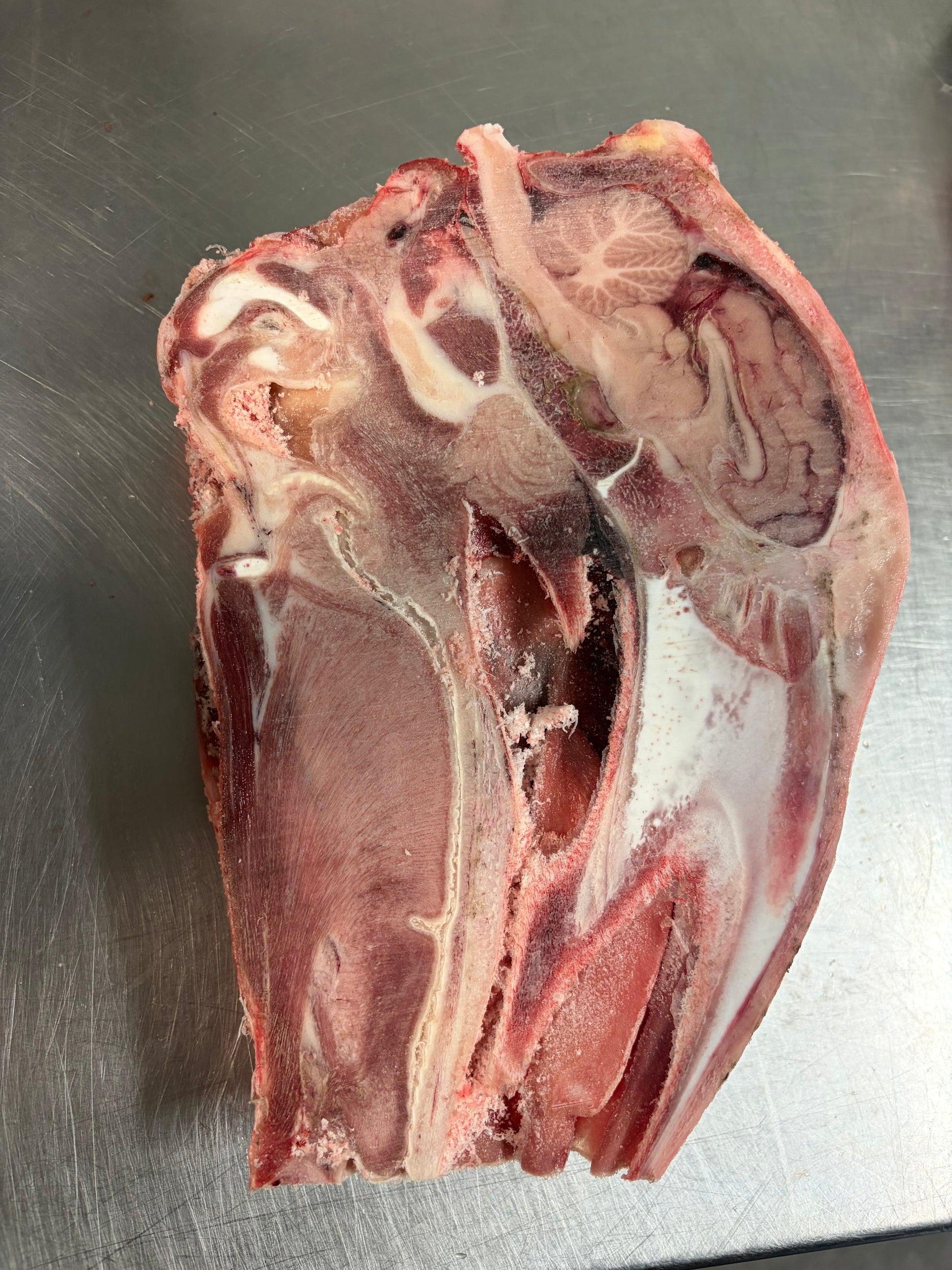 Raw Goat Head Half tapiarawmeatsforpetfood