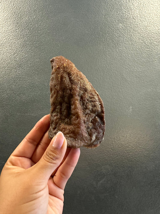 Beef Tongue Tip tapiarawmeatsforpetfood