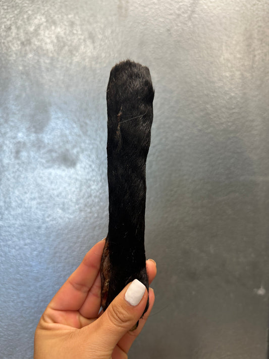 Beef Hide Roll tapiarawmeatsforpetfood Thin