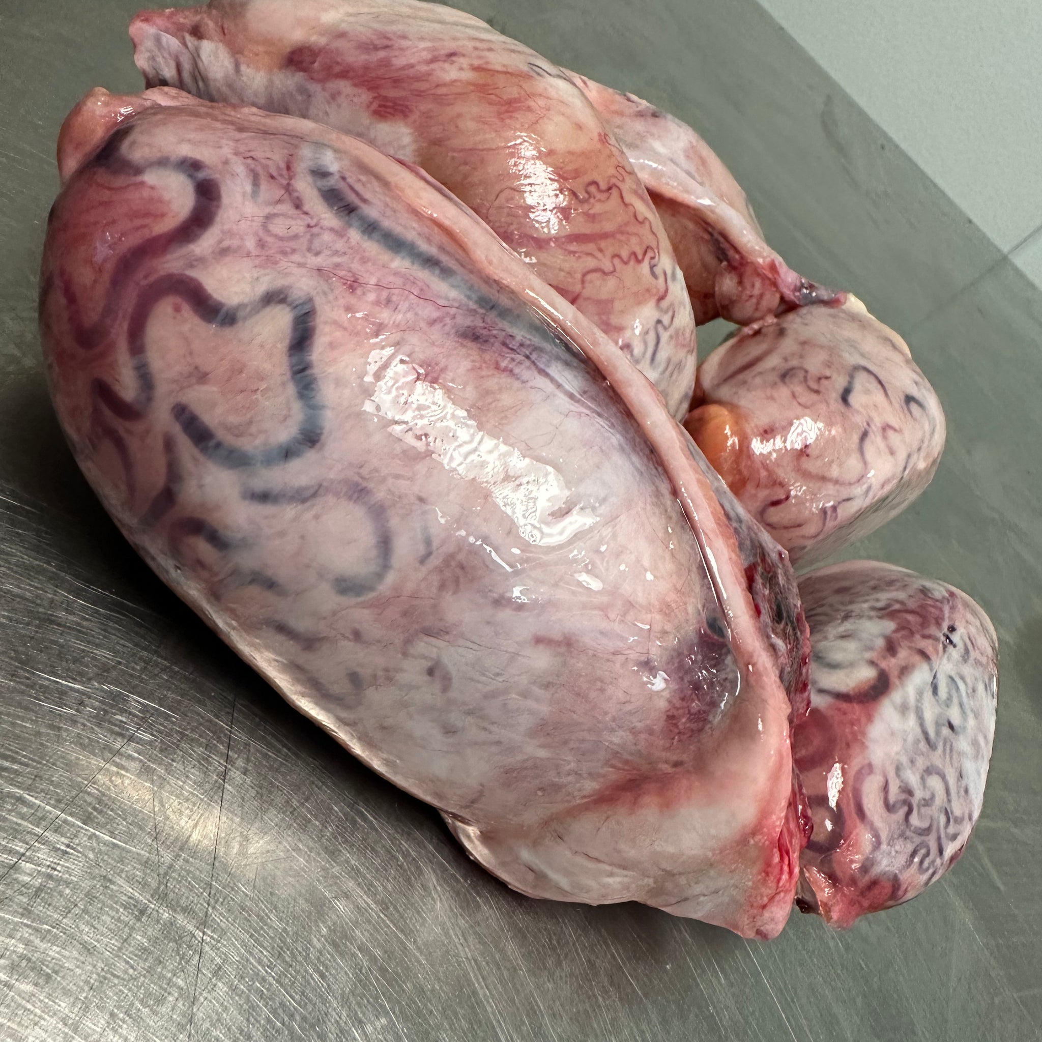 Bull Testicles 1lb-1.50lb tapiarawmeatsforpetfood