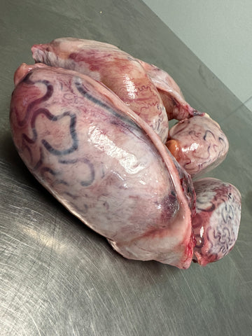 Bull Testicles 1lb-1.50lb tapiarawmeatsforpetfood