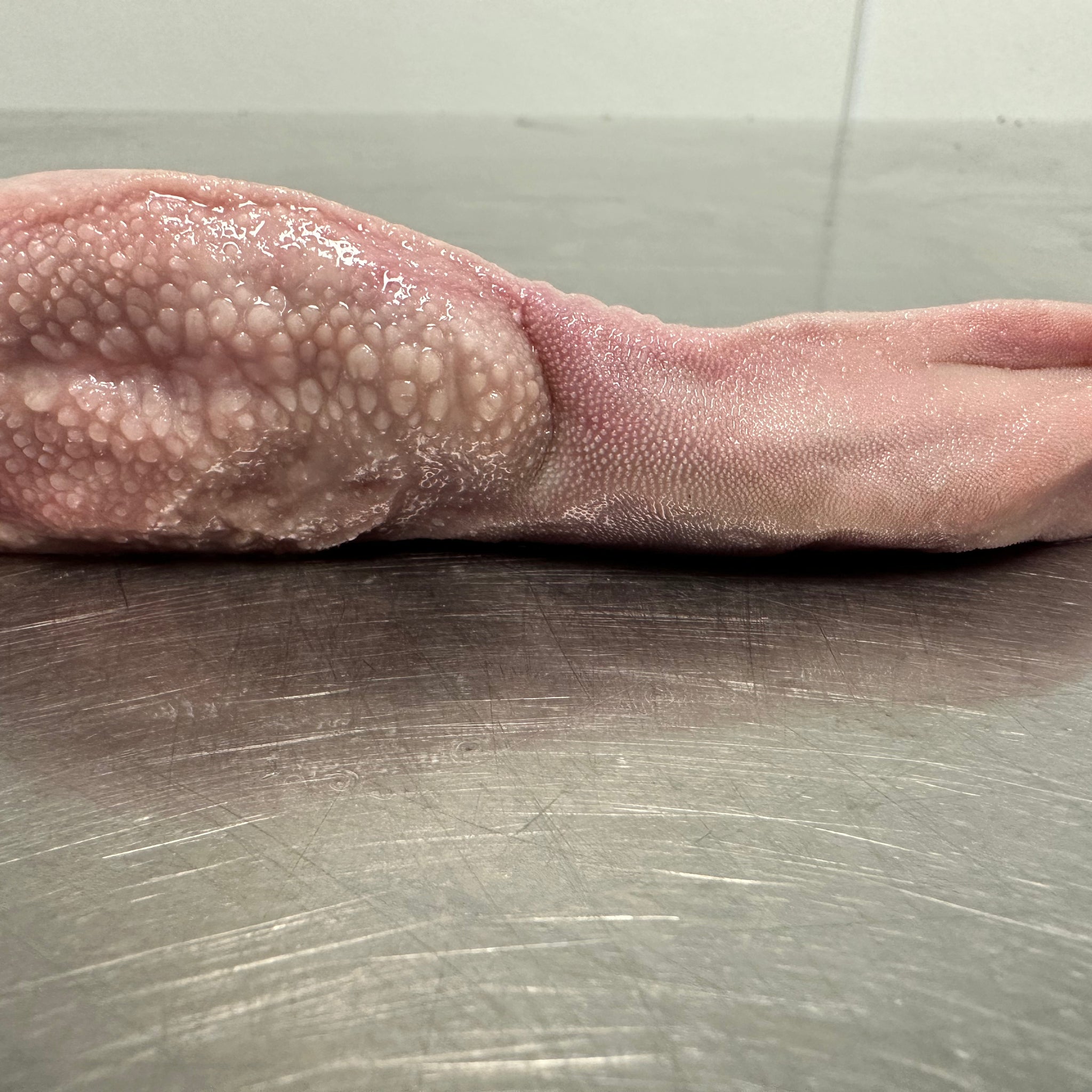 Lamb Tongue 1lb tapiarawmeatsforpetfood