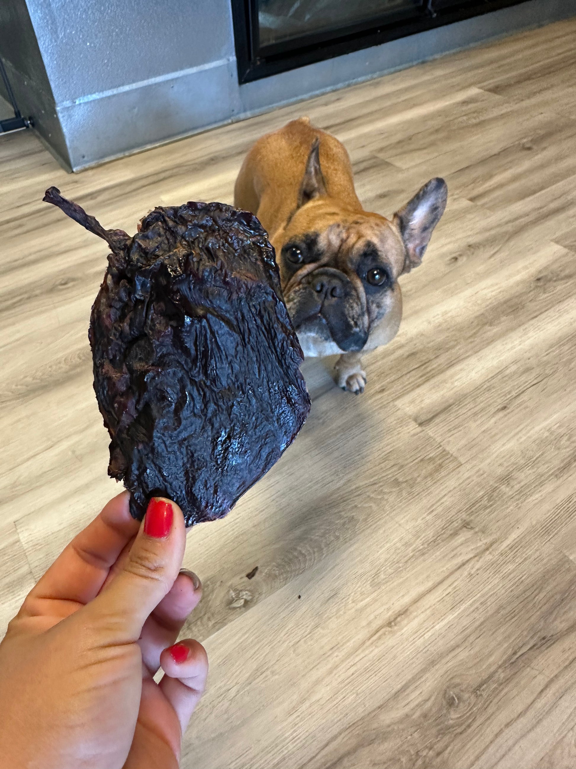 Dehydrated Lamb Spleen tapiarawmeatsforpetfood