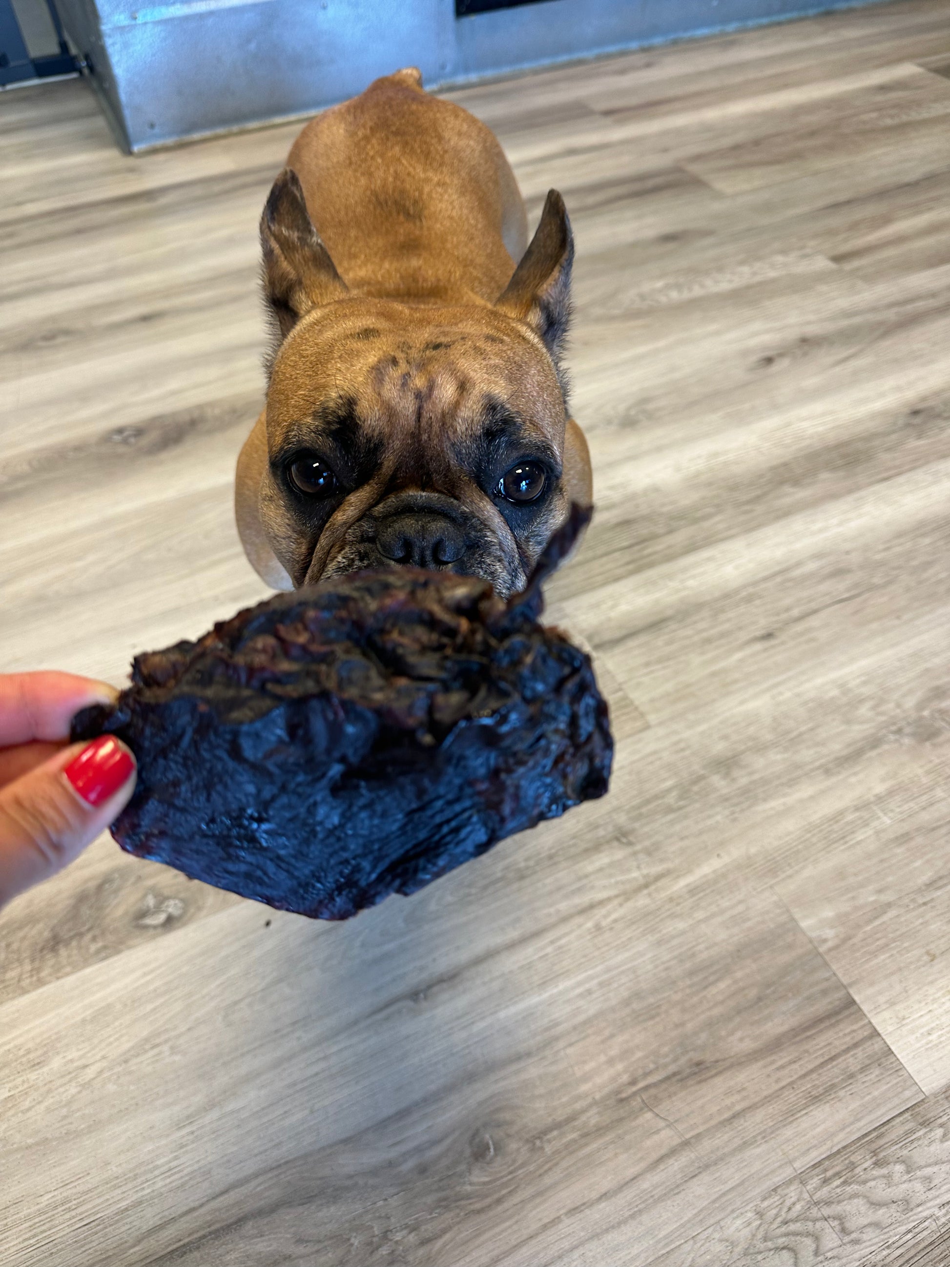 Dehydrated Lamb Spleen tapiarawmeatsforpetfood