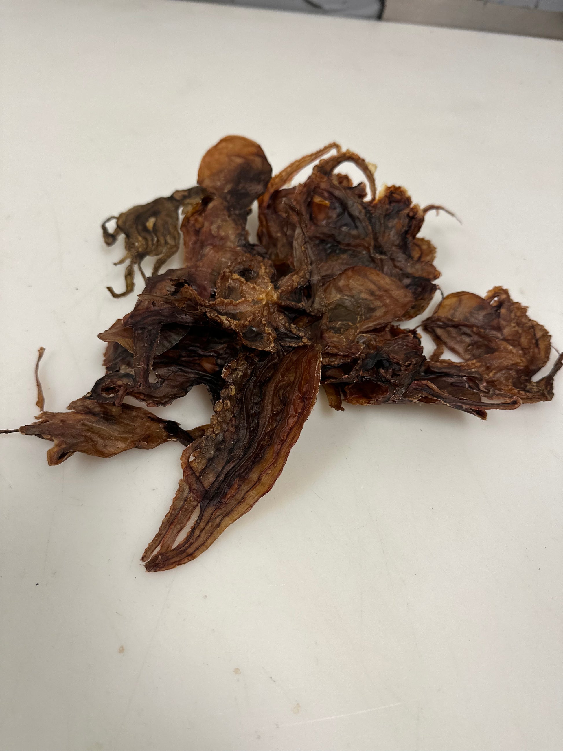 Octopus tapiarawmeatsforpetfood