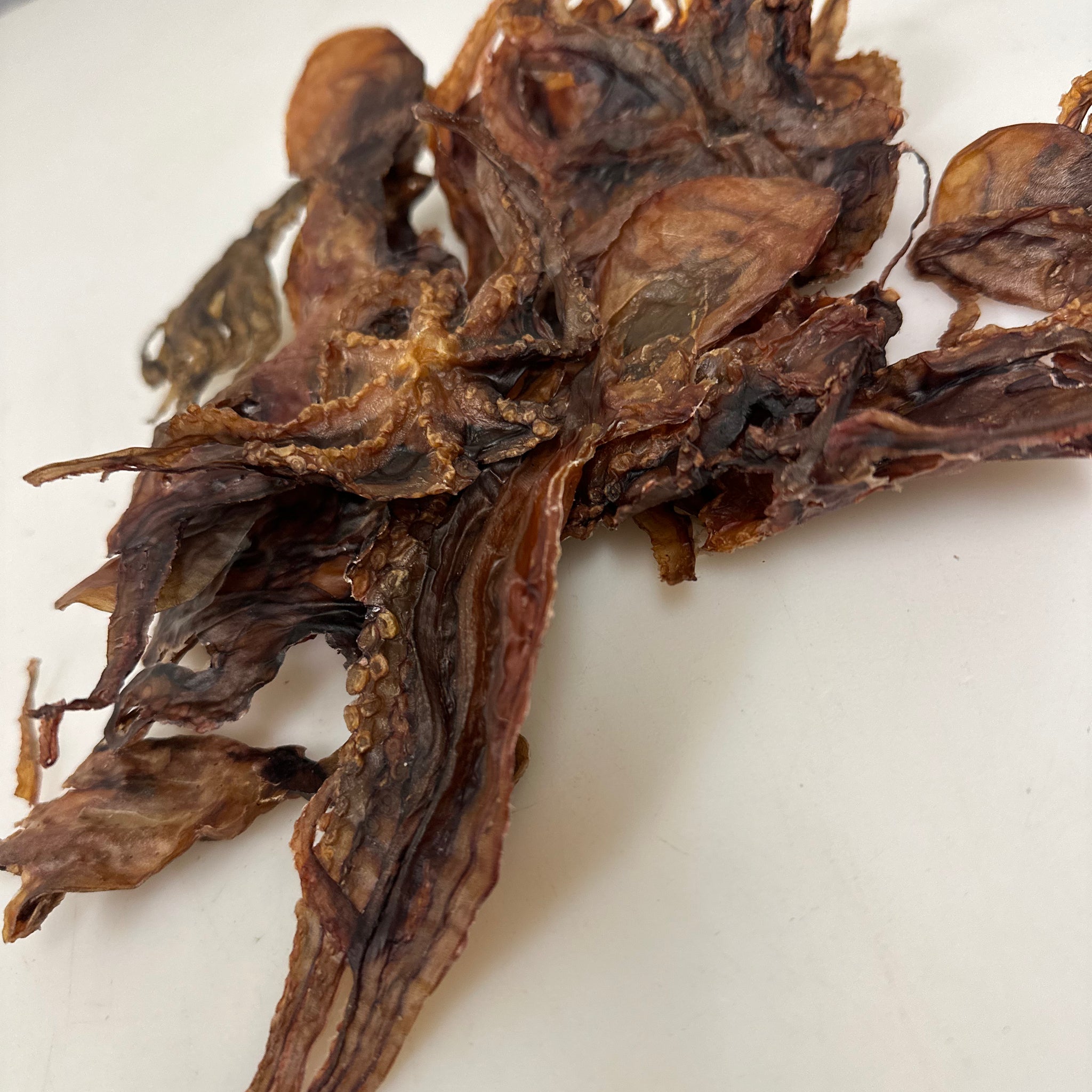 Octopus tapiarawmeatsforpetfood