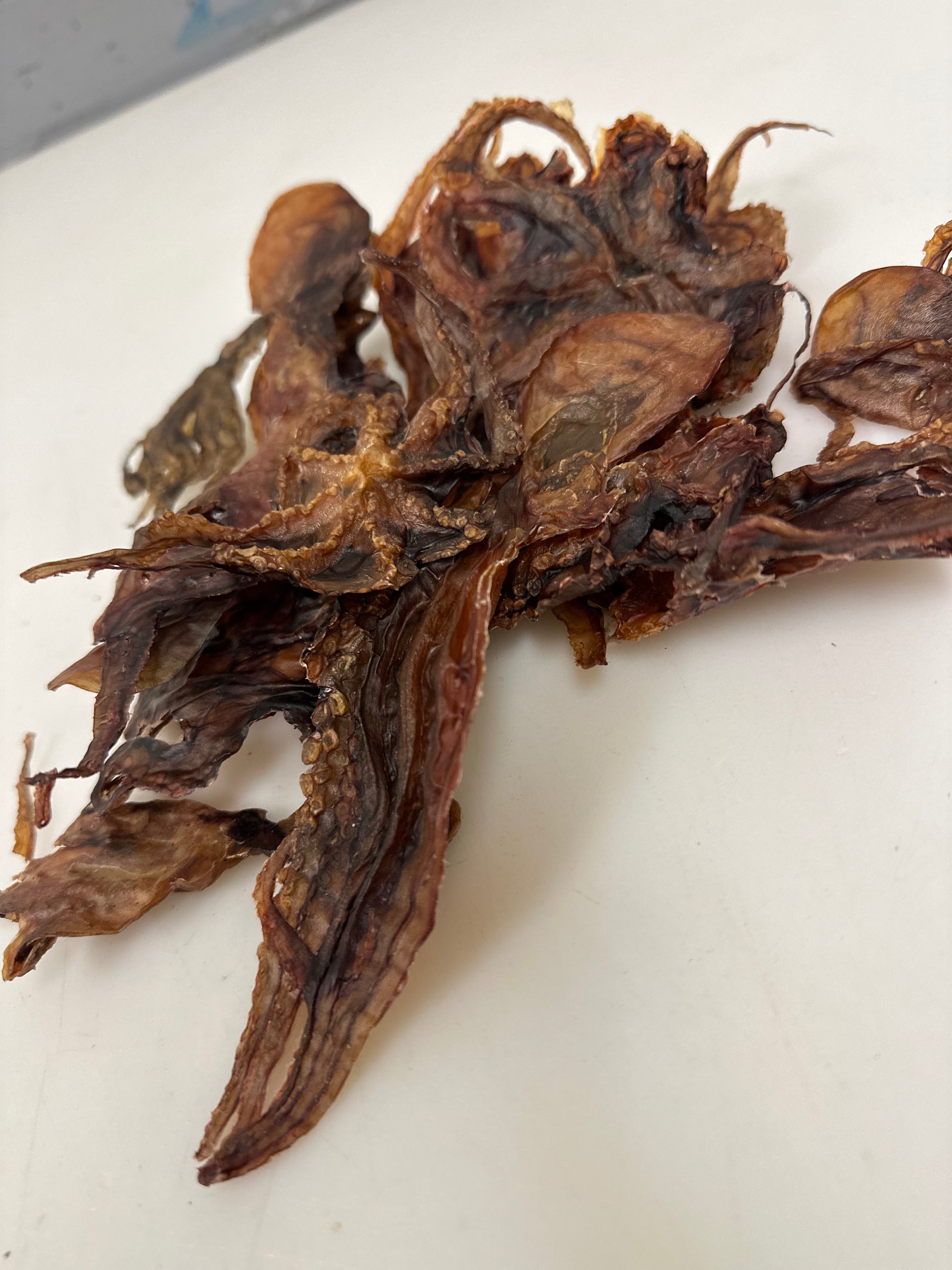Octopus tapiarawmeatsforpetfood