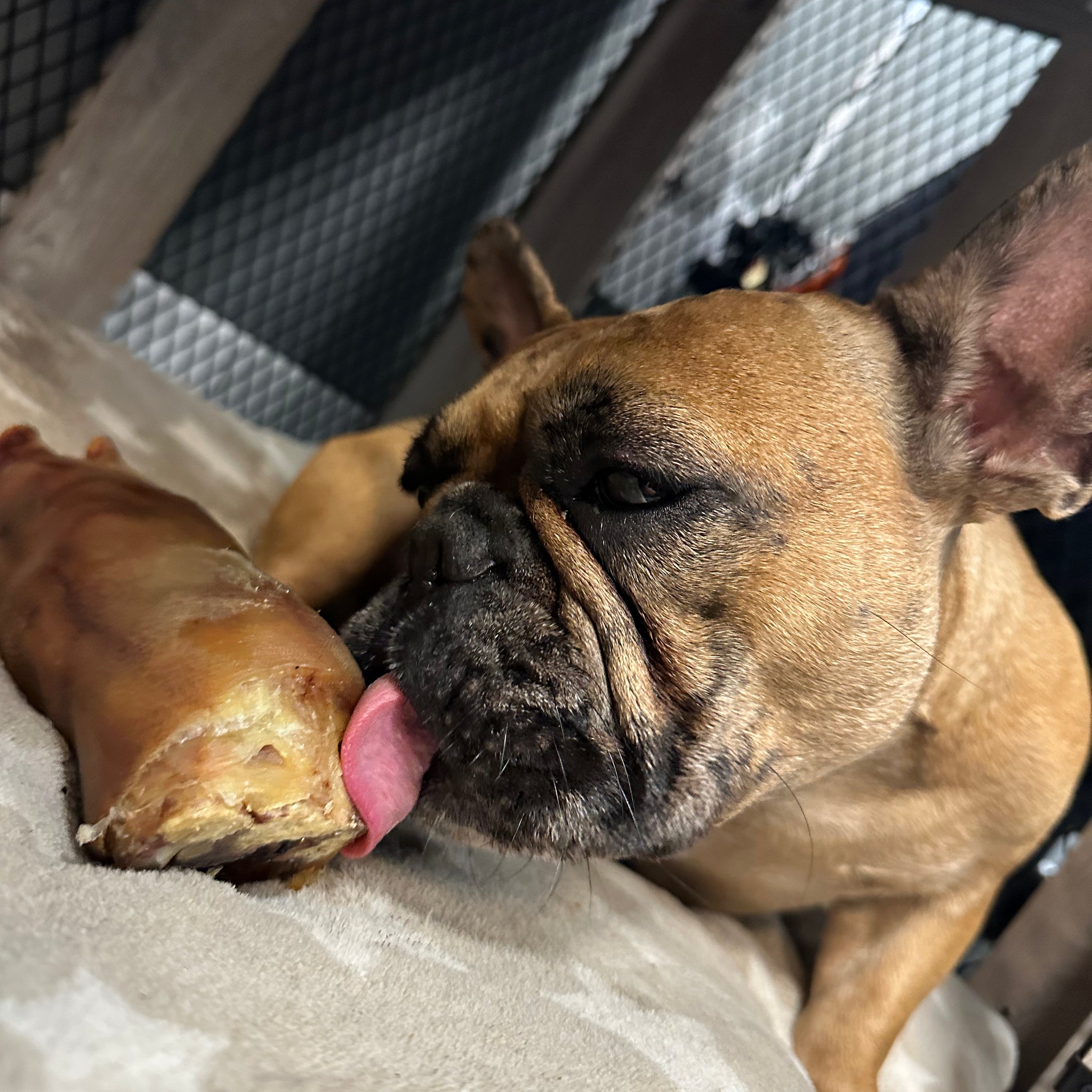 Dehydrated Pig Foot tapiarawmeatsforpetfood