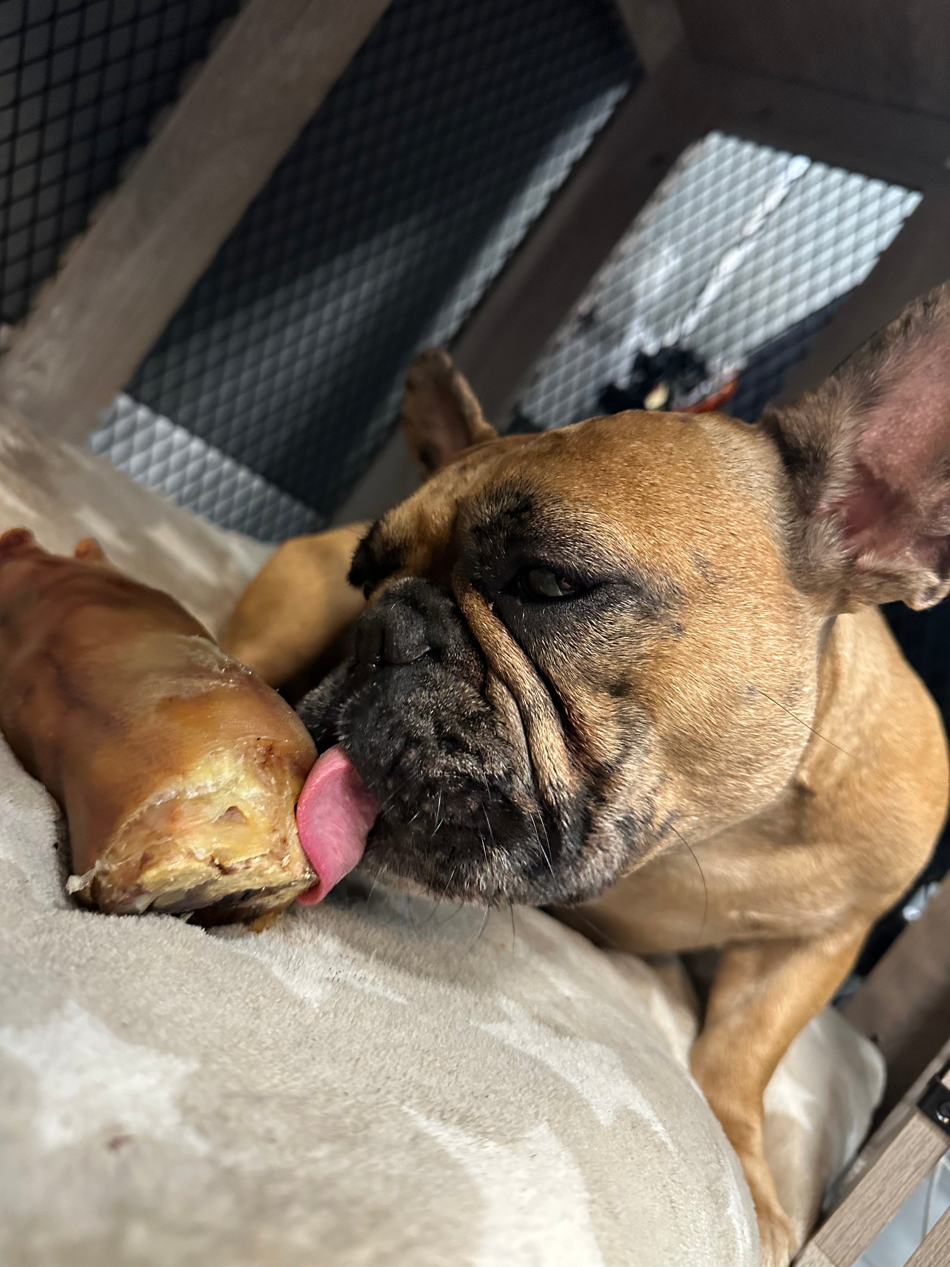 Dehydrated Pig Foot tapiarawmeatsforpetfood
