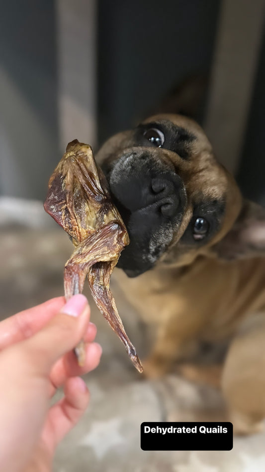 Dehydrated Quail