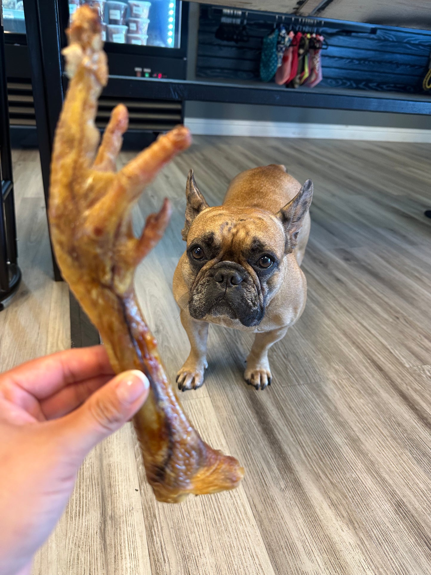 Turkey Feet