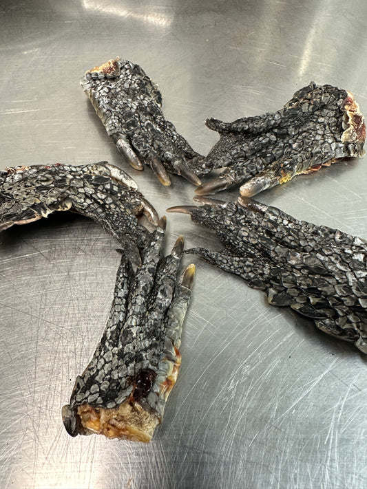 Croc Feet tapiarawmeatsforpetfood