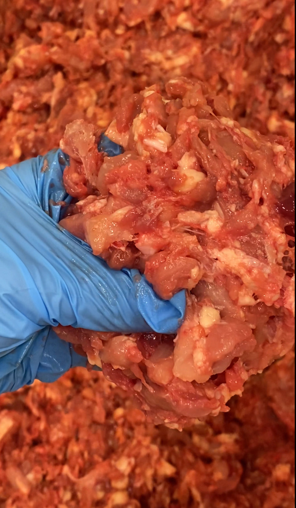 Chicken Blend 2lb tapiarawmeatsforpetfood