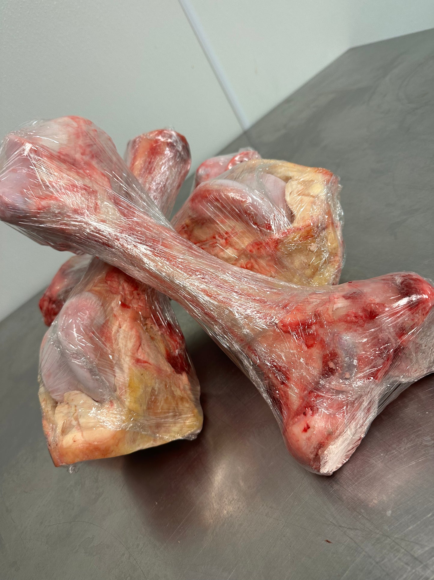 Beef Femur