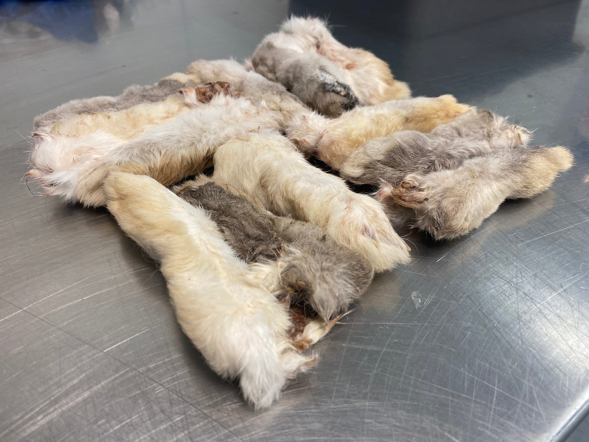 Skinned Rabbit Leg Rabbit Leg With Fur – tapiarawmeatsforpetfood