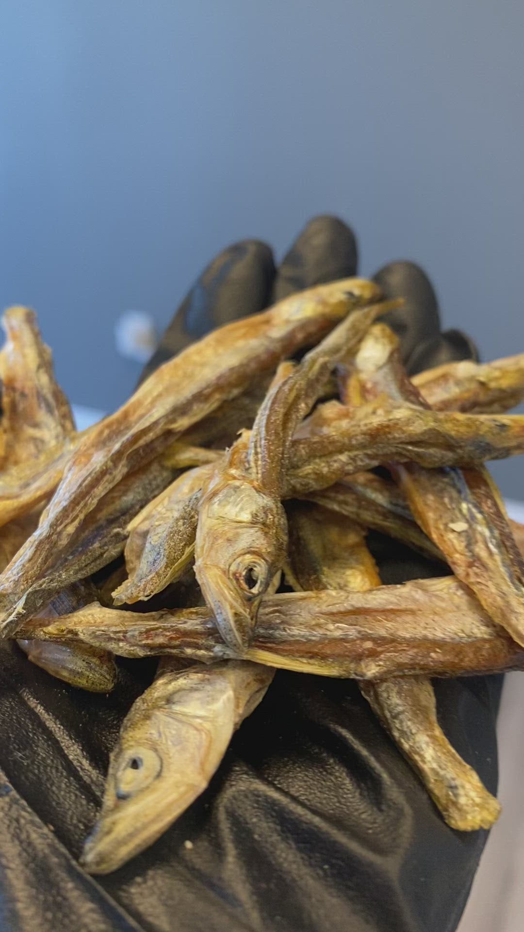 Dehydrated Smelts 20pc tapiarawmeatsforpetfood