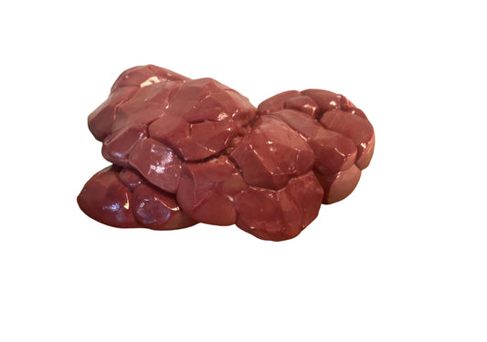 Beef Kidney