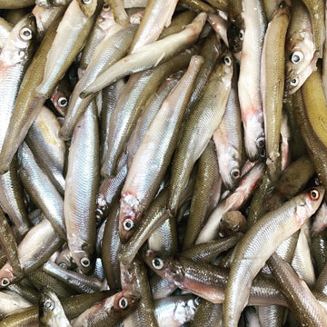 Smelts tapiarawmeatsforpetfood