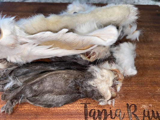 Dehydrated Rabbit Ears Fur On