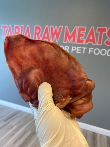 Dehydrated Pig Ear tapiarawmeatsforpetfood 1pc