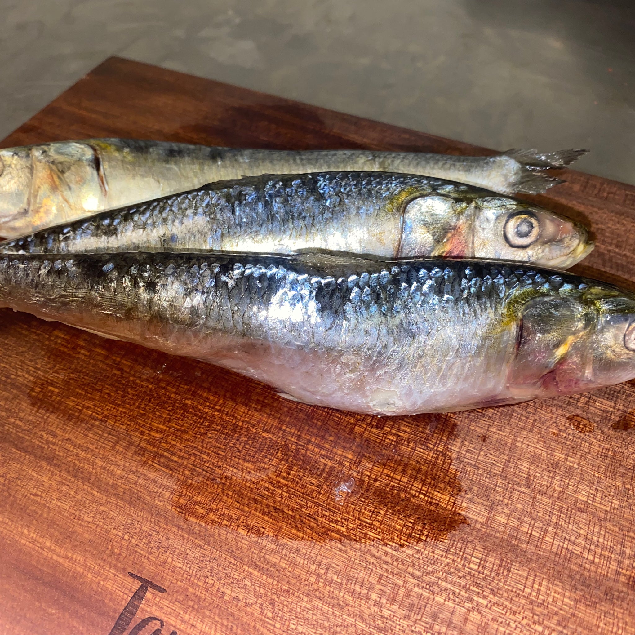 Raw Sardines tapiarawmeatsforpetfood