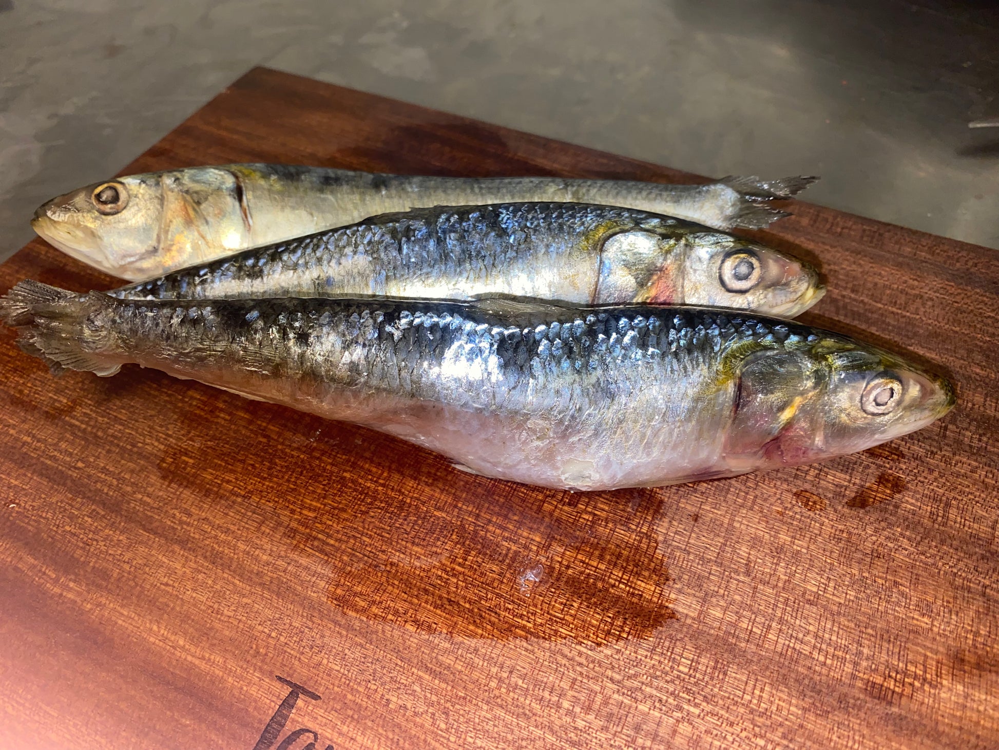 Raw Sardines tapiarawmeatsforpetfood