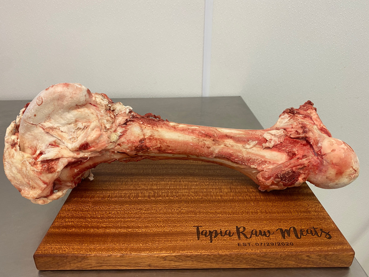 Beef Femur