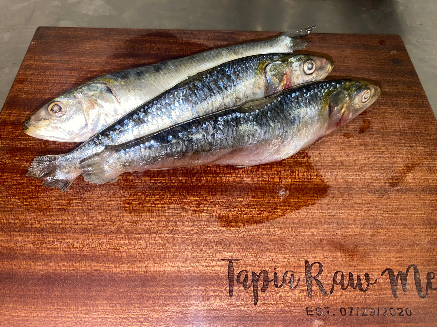 Raw Sardines