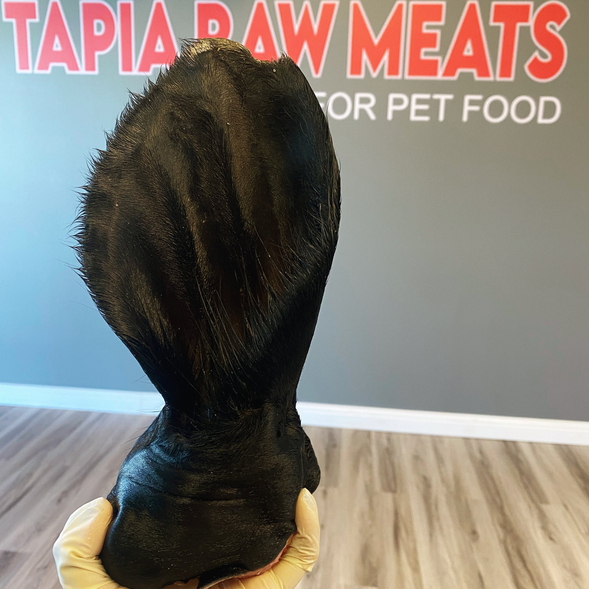 Raw Beef Ears tapiarawmeatsforpetfood