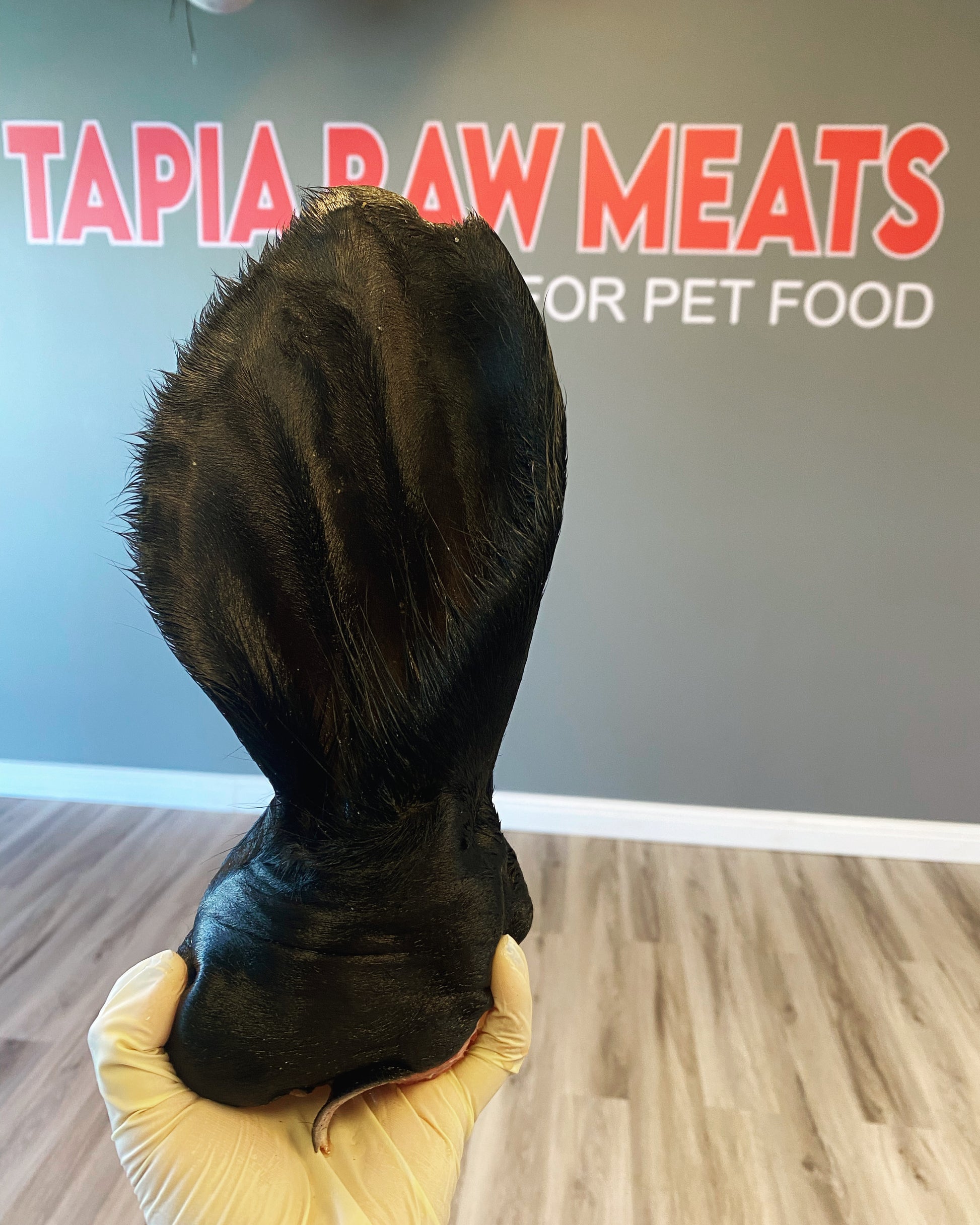 Raw Beef Ears tapiarawmeatsforpetfood