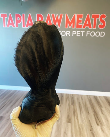 Raw Beef Ears tapiarawmeatsforpetfood