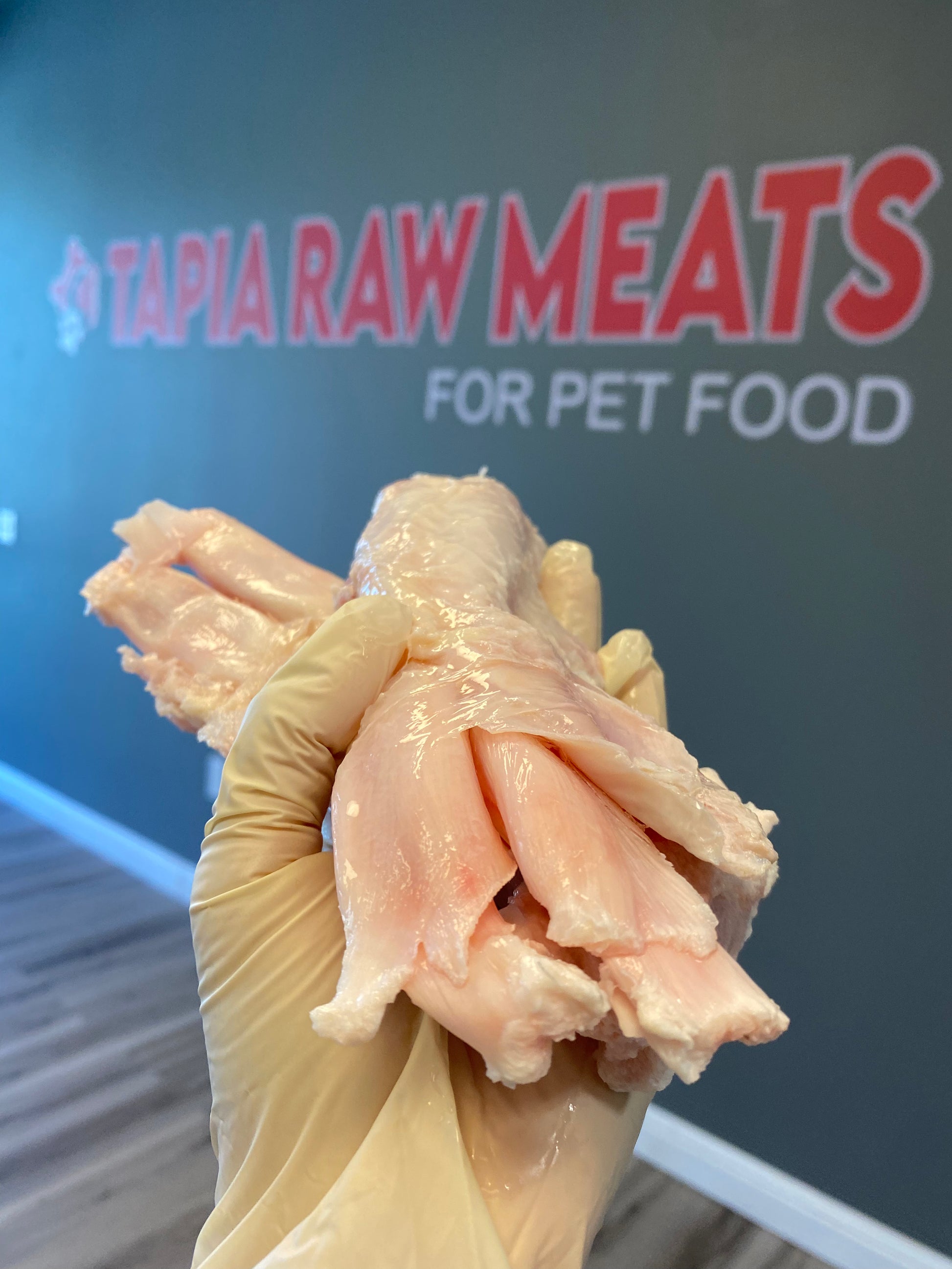 Raw Beef Tendons tapiarawmeatsforpetfood