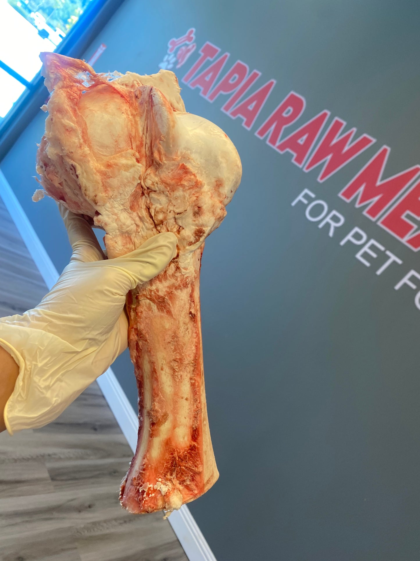 Beef Femur